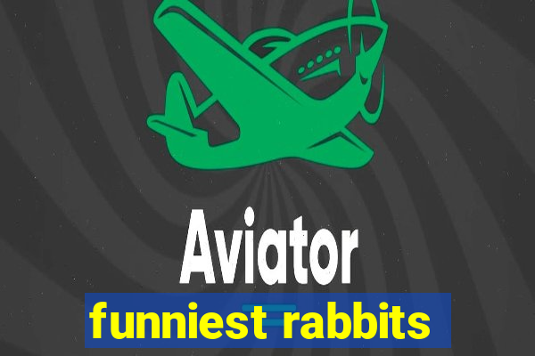 funniest rabbits