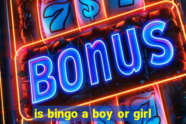 is bingo a boy or girl