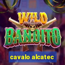 cavalo alcatec