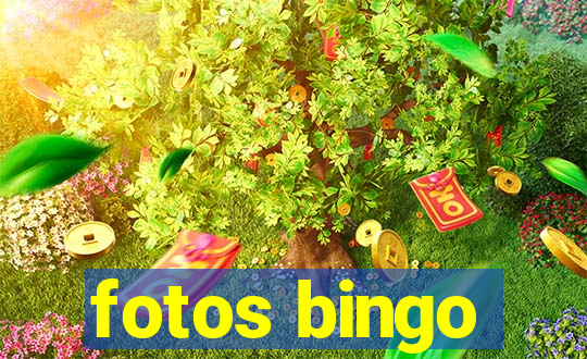 fotos bingo