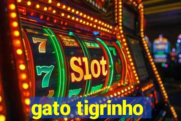 gato tigrinho