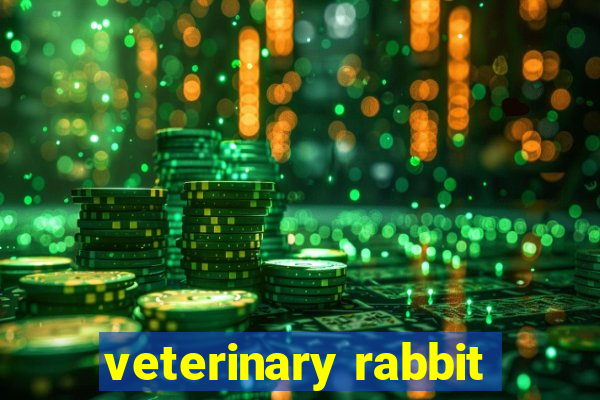 veterinary rabbit