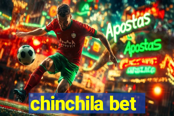 chinchila bet