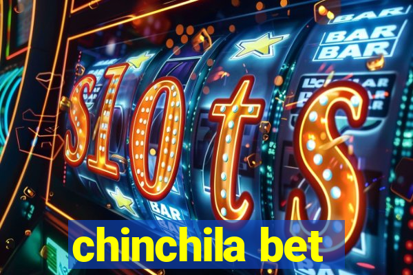 chinchila bet