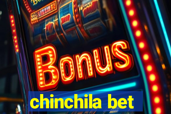 chinchila bet