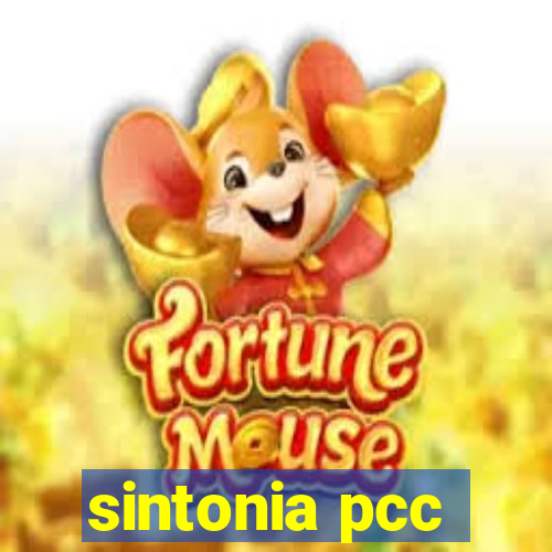 sintonia pcc