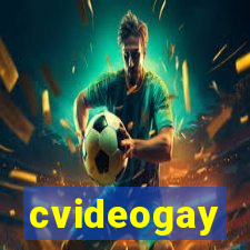 cvideogay