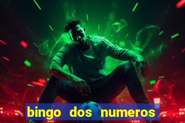 bingo dos numeros de 1 a 30