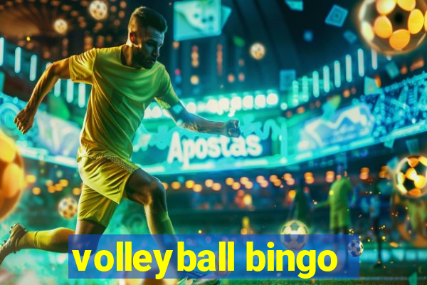 volleyball bingo