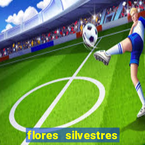 flores silvestres desbravadores desbravadores 25 flores silvestres e seus nomes