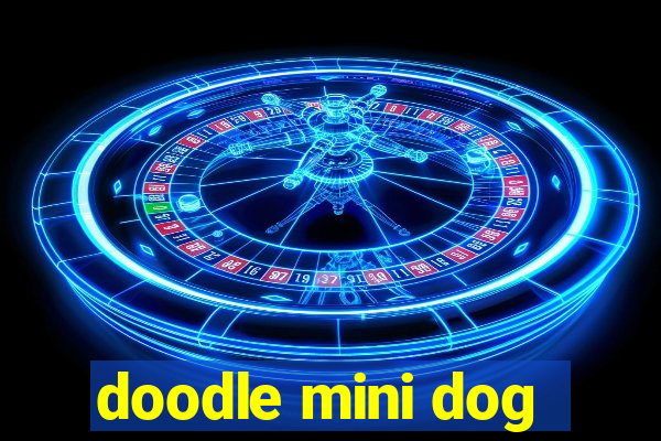 doodle mini dog