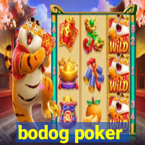 bodog poker