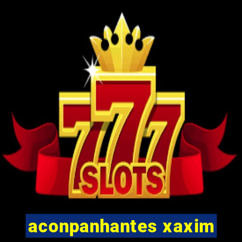 aconpanhantes xaxim