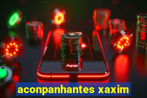 aconpanhantes xaxim