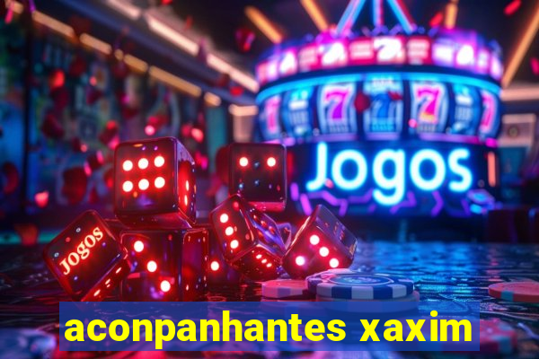 aconpanhantes xaxim