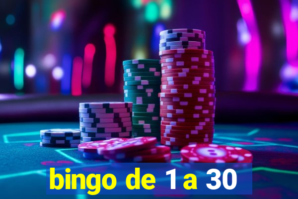 bingo de 1 a 30