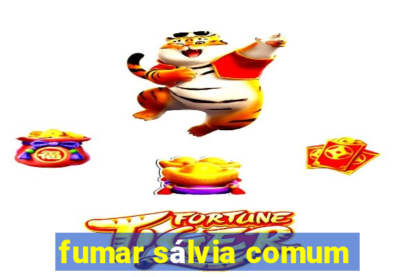 fumar sálvia comum