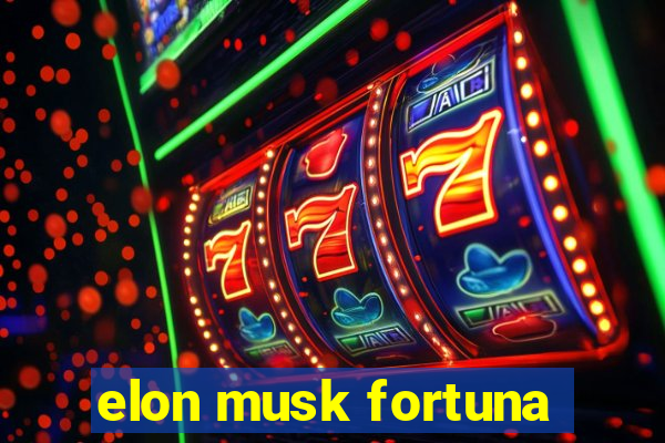 elon musk fortuna