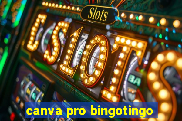 canva pro bingotingo