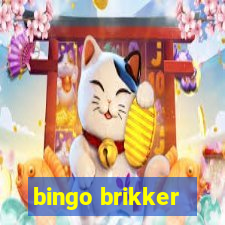 bingo brikker