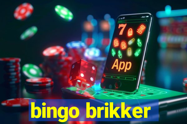 bingo brikker