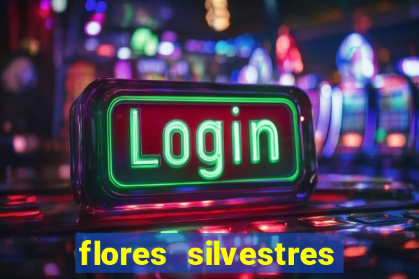 flores silvestres desbravadores desbravadores 25