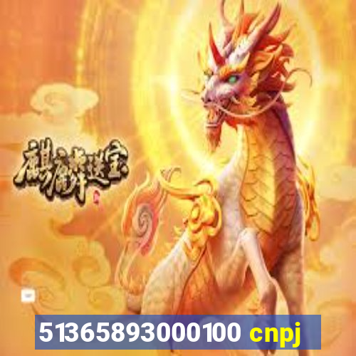 51365893000100 cnpj