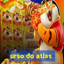 urso do atlas