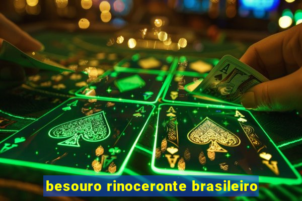 besouro rinoceronte brasileiro