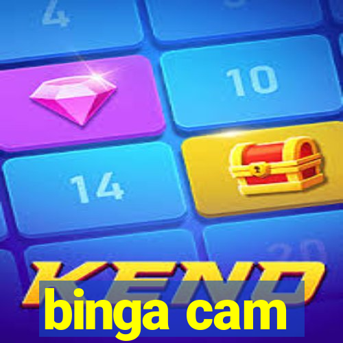 binga cam