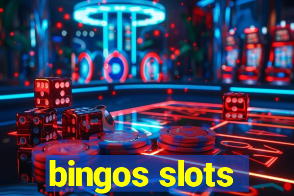 bingos slots