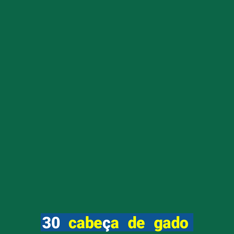 30 cabeça de gado por hectare