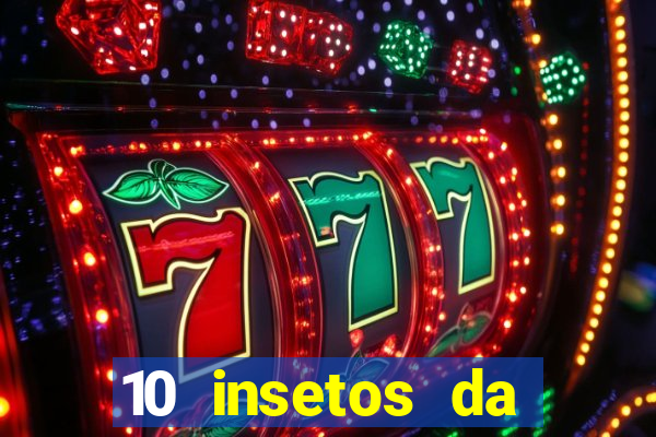 10 insetos da região sudeste