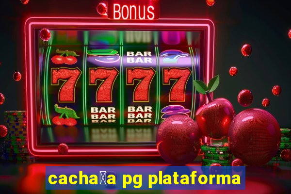 cacha莽a pg plataforma