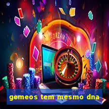 gemeos tem mesmo dna