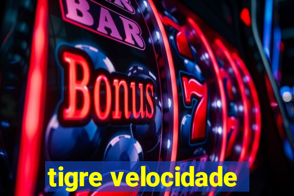 tigre velocidade