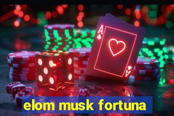 elom musk fortuna