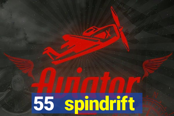 55 spindrift williamsville ny