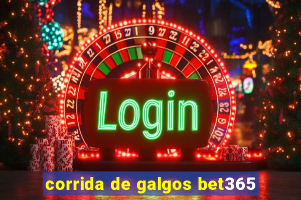 corrida de galgos bet365