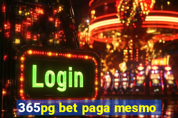 365pg bet paga mesmo