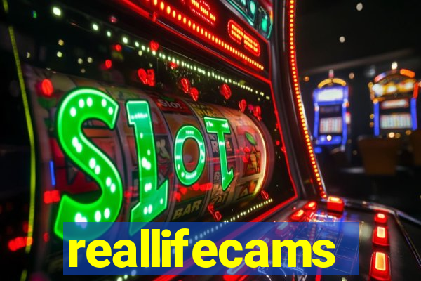 reallifecams