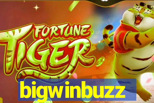 bigwinbuzz