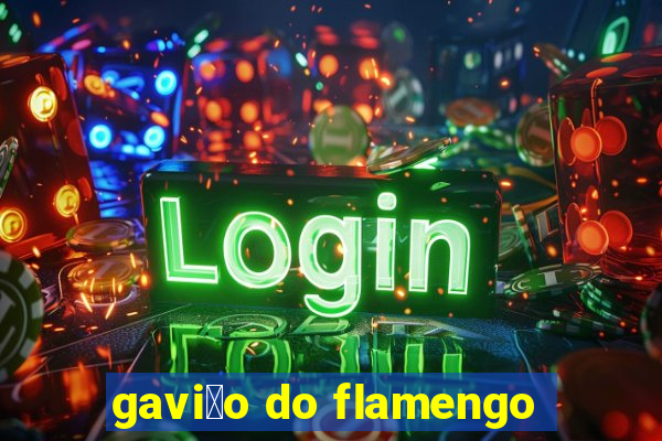 gavi茫o do flamengo