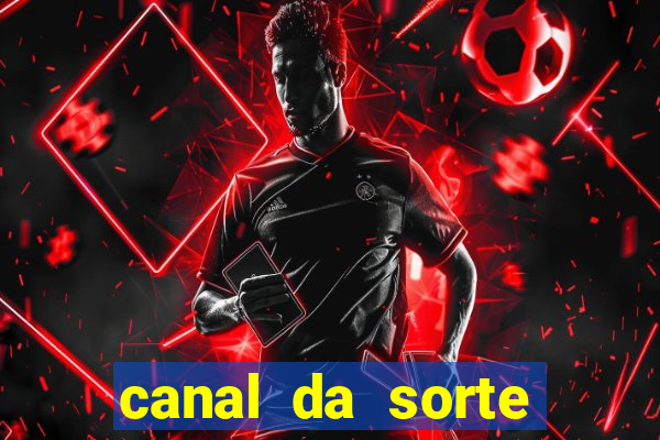 canal da sorte bingo de hoje