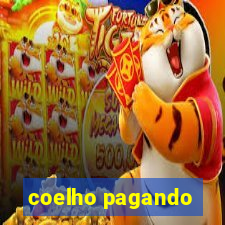 coelho pagando