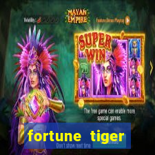 fortune tiger melhor horário para jogar