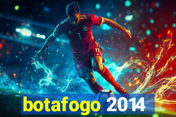 botafogo 2014