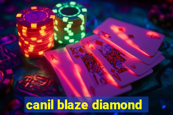 canil blaze diamond