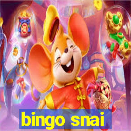 bingo snai