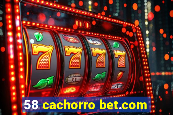 58 cachorro bet.com